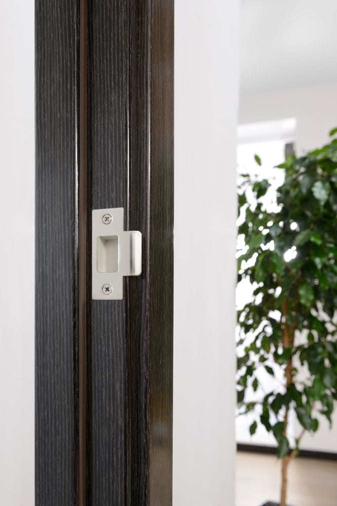 Avanti Interior Door In A Black Apricot Finish W/ Silver Strips