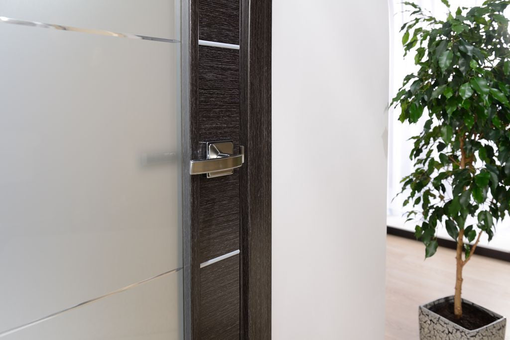 Avanti Vetro Interior Door In A Black Apricot Finish W/ Silver Strips And Frosted Glass