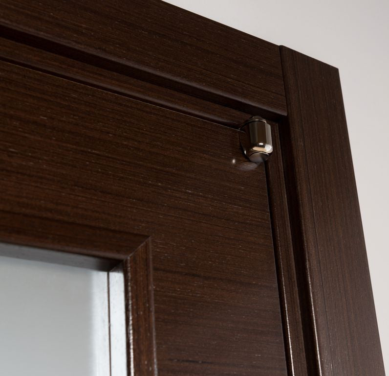 Mia Interior Door In A Wenge Finish W/ Silver Strips
