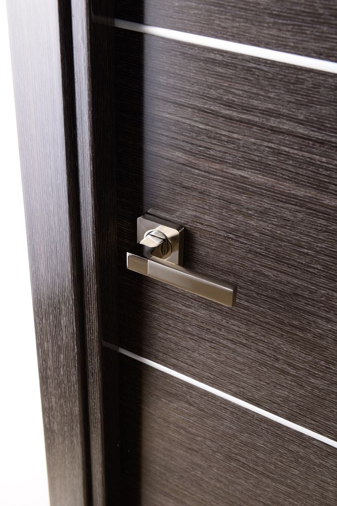 Avanti Interior Door In A Black Apricot Finish W/ Silver Strips