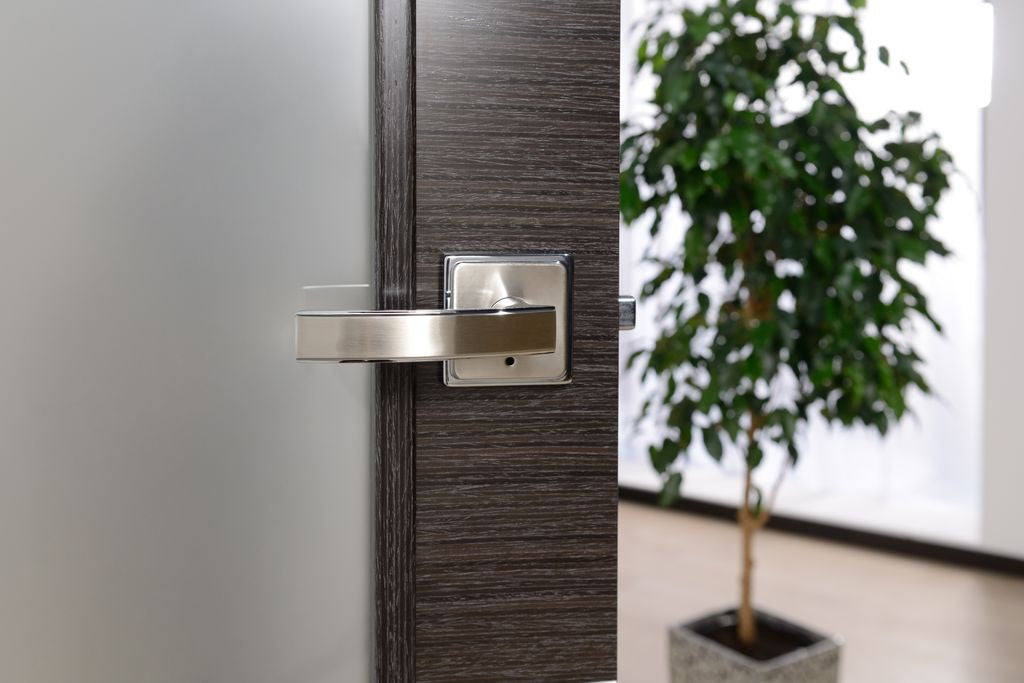 Avanti Vetro Interior Door In A Black Apricot Finish W/ Silver Strips And Frosted Glass