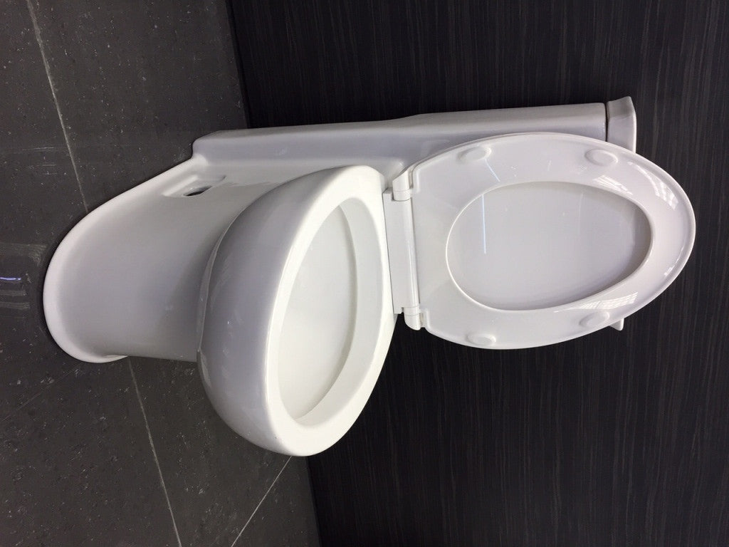 Eago 377 Modern One Piece Toilet ADA Compliant