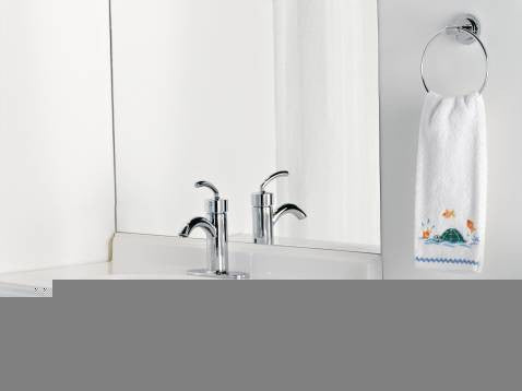 MOEN Iso chrome towel ring