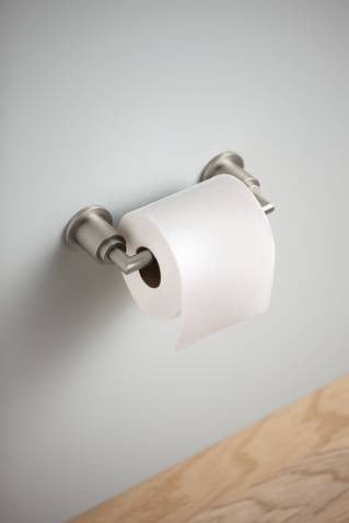 MOEN Arris brushed nickel pivoting paper holder