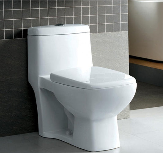 POTOMAC TOILET  CONTEMPORARY TOILET